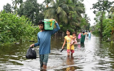 அசாமில் தொடர் மழை வெள்ளத்தால் 780 கிராமங்கள் தத்தளிப்பு