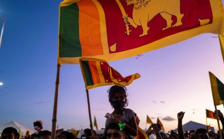 Sri Lanka's Greatest Economic Crisis Since Independence: In-depth Interview with Prof. Sri Hettige on the Origins and Solutions