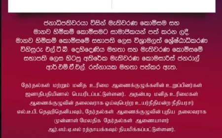தேர்தல்கள் மற்றும் மனித உரிமை ஆணைக்குழுக்களின் உறுப்பினர்கள் நியமனம்