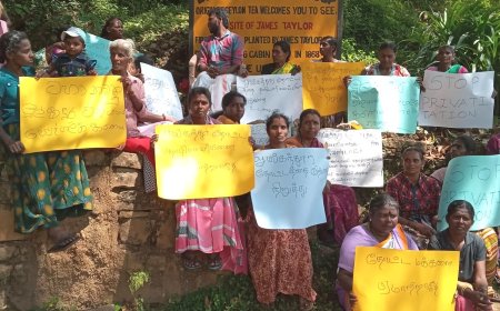 பழமையான தேயிலை தோட்டத்தை விற்பனை செய்வதற்கு எதிர்ப்பு