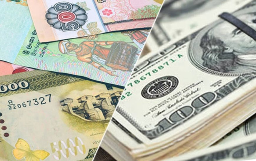 Sri Lankan Rupee Appreciated Against USD Within A Year