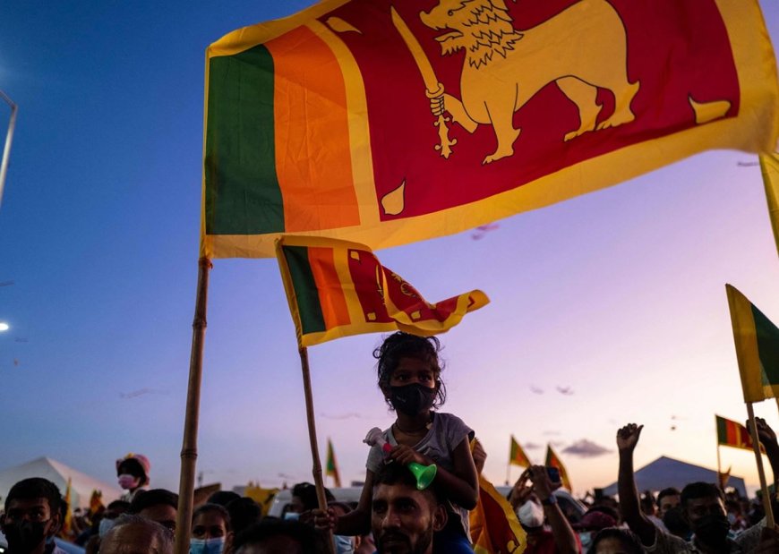 Sri Lanka's Greatest Economic Crisis Since Independence: In-depth Interview with Prof. Sri Hettige on the Origins and Solutions