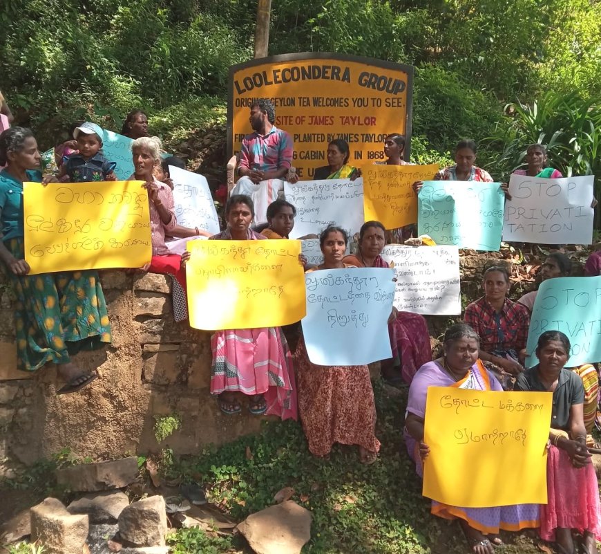 பழமையான தேயிலை தோட்டத்தை விற்பனை செய்வதற்கு எதிர்ப்பு