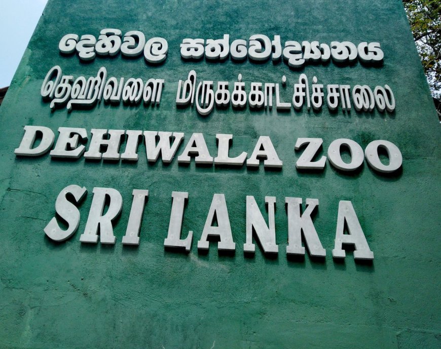 தெஹிவளை மிருகக்காட்சிசாலையை இலவசமாக பார்வையிட வாய்ப்பு!