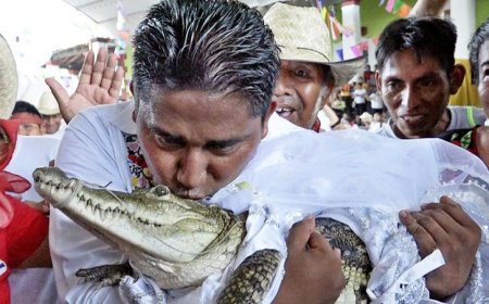பெண் முதலையை திருமணம் செய்த மேயர்... காரணம் தெரியுமா?