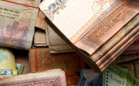 அஸ்வெசும மேன்முறையீடுகள் தொடர்பில் வெளியான தகவல்