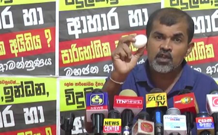 சந்தையில் இந்திய முட்டைகள்; வெளியான தகவல்!