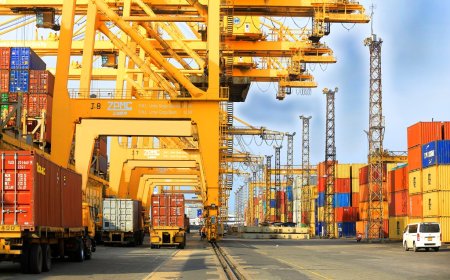 இறக்குமதி கட்டுப்பாடுகள் நீக்கம் குறித்து வெளியான அறிவிப்பு