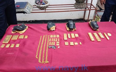 எட்டு கிலோகிராம் தங்கத்துடன் இருவர் கைது