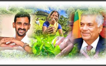 'மலையகம் - 200' பெருவிழாக்கு அமைச்சரவை அனுமதி