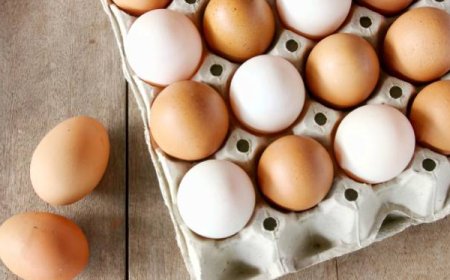 முட்டை விலை குறித்து வெளியான தகவல்