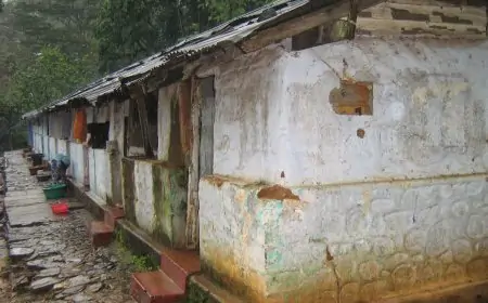 மலையக மக்களின் காணி உரிமை தொடர்பில் அரசாங்கம் எடுத்துள்ள தீர்மானம்