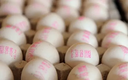 35 ரூபாயாக குறைக்கப்பட்டது முட்டை விலை; இன்றிலிருந்து நடைமுறை