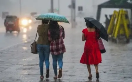 இன்றைய வானிலை - 100 மி.மீ. வரை மழை பெய்யும்