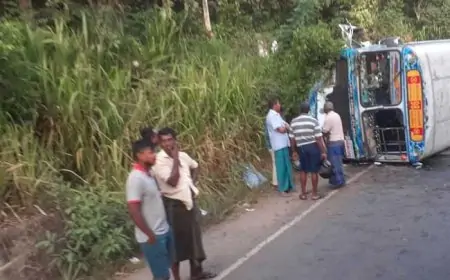 பஸ் விபத்தில் 14 பேர் காயம்