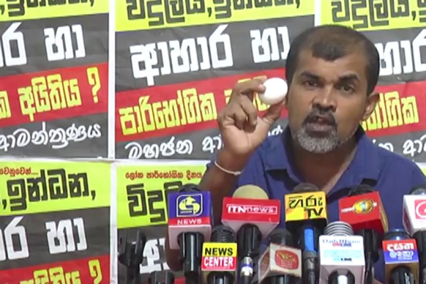சந்தையில் இந்திய முட்டைகள்; வெளியான தகவல்!