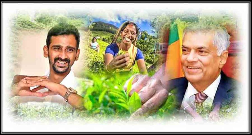 'மலையகம் - 200' பெருவிழாக்கு அமைச்சரவை அனுமதி