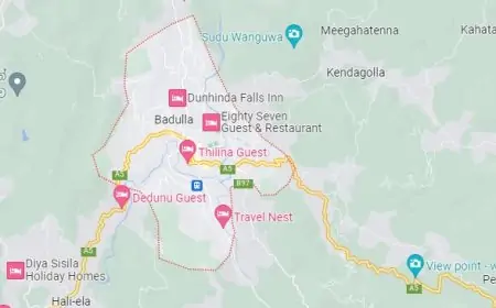 பதுளையில் வேண்டுமென்றே காடுகளுக்கு தீ வைப்பு