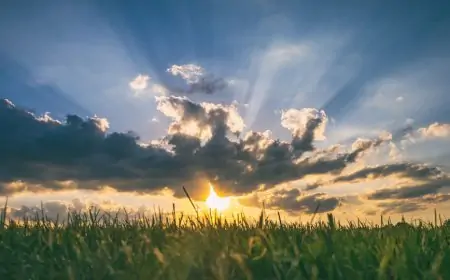 இன்றைய வானிலை - இன்று பல பிரதேசங்களில் மழையற்ற காலநிலை