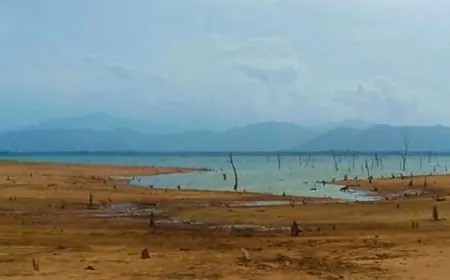 விவசாயத்துக்கு தேவையான நீரை விடுவிக்க அமைச்சரவை அனுமதி