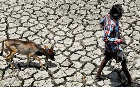 வடக்கில் மேலும் மோசமாகும் வறட்சி... குடிநீரின்றி தவிக்கும் நிலை