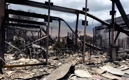 காட்டுத்தீயில் சிக்கி பலியானவர்கள் எண்ணிக்கை 53-ஆக உயர்வு