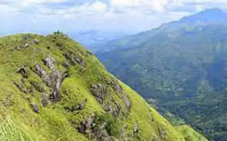 சிறிய ஸ்ரீ பாதையில் இருந்து விழுந்த பிரித்தானிய பிரஜை