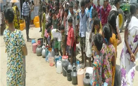 யாழ்ப்பாணம் உட்பட 13 மாவட்டங்கள் கடும் வறட்சியால் பாதிப்பு