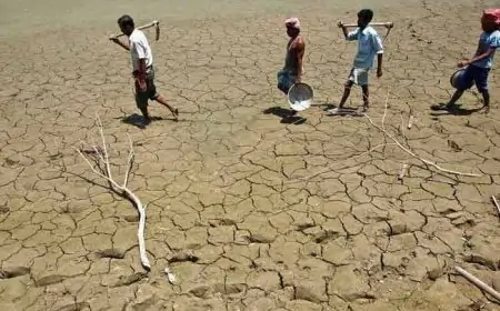 இன்றைய வானிலை: பல பகுதிகளில் மழையில்லாத வானிலை