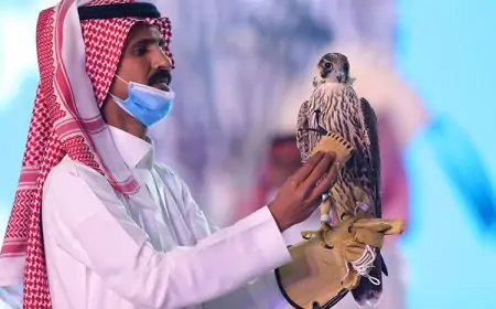 கோடிகணக்கில் ஏலம் போன அபூர்வ பருந்து