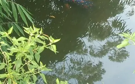 குழந்தையுடன் சென்ற இளம் தாய் உயிர்மாய்ப்பு; குழந்தைக்கு என்ன நடந்தது?