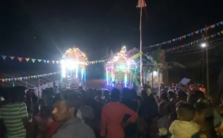 மின் கம்பியில் ரதம் மோதியதில் இருவர் உயிரிழப்பு... நமுனுகலையில் சோகம்