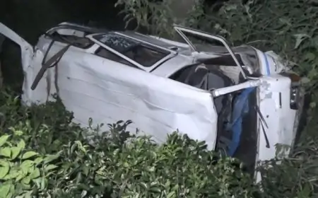 ஹட்டன்- ‌நுவரெலியா வீதியில்  30 அடி பள்ளத்தில் பாய்ந்து விபத்து