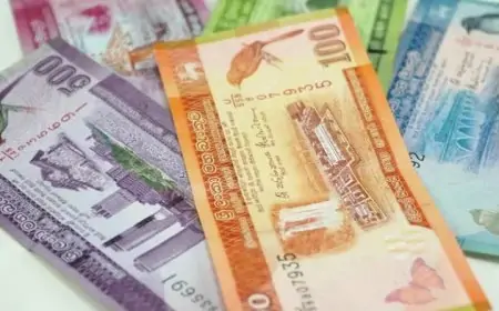 அஸ்வெசும அடுத்தக்கட்ட கொடுப்பனவு குறித்து மகிழ்ச்சி தகவல்!