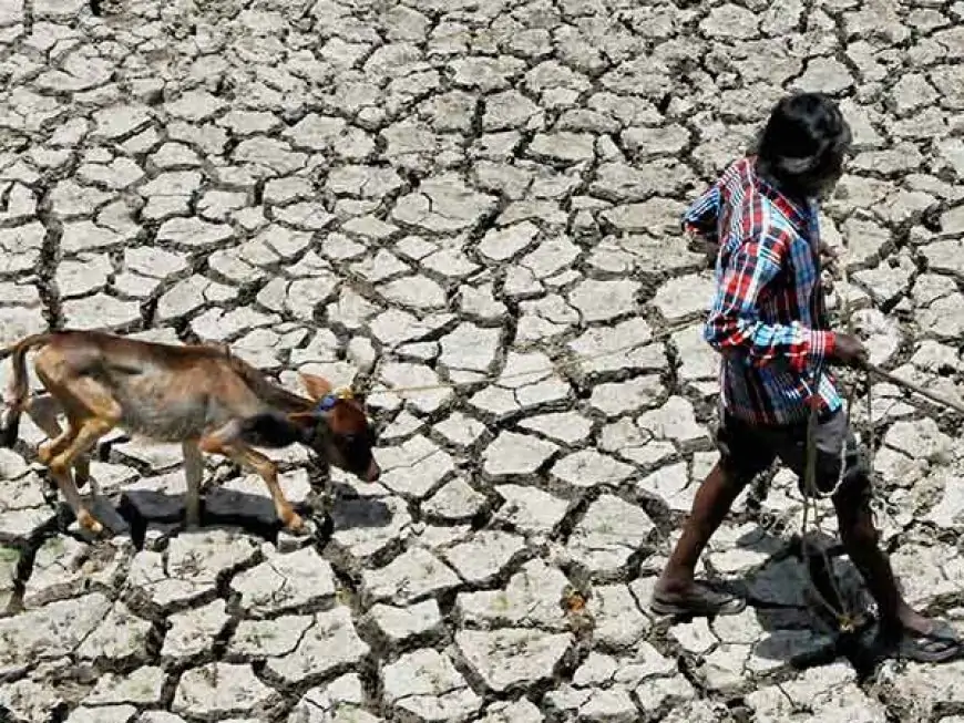 வடக்கில் மேலும் மோசமாகும் வறட்சி... குடிநீரின்றி தவிக்கும் நிலை