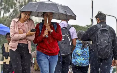 அடுத்த 3 மணி நேரத்துக்கு சென்னையில் மழைக்கு வாய்ப்பு...!