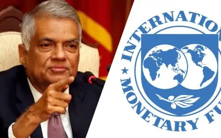 ஜனாதிபதி மற்றும் IMF பிரதிநிதிகளுக்கு இடையில் நாளை கலந்துரையாடல்