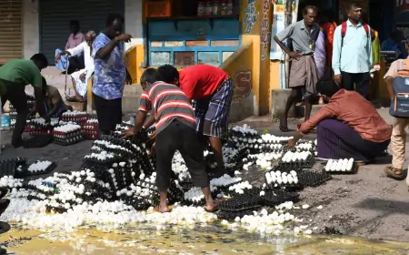 வேன் கவிழ்ந்ததில் 7 ஆயிரம் முட்டைகள் உடைந்து ஆறாக ஓடியது