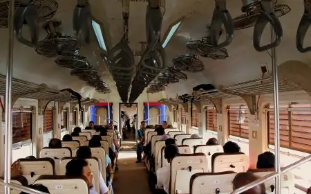 ரயில் டிக்கெட் பரிசோதனை தொடர்பில் எடுக்கப்பட்டுள்ள தீர்மானம்