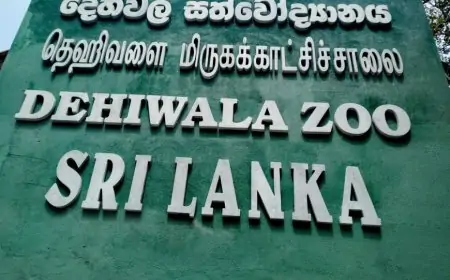 ஒக். 01 தெஹிவளை மிருகக்காட்சிச்சாலை செல்ல தயாராகுங்கள்!