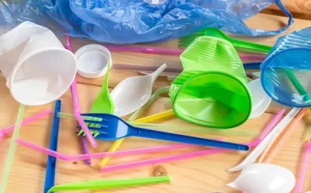 இலங்கையில் நாளை முதல் நடைமுறைக்கு வரும் தடை