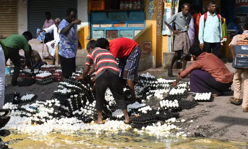வேன் கவிழ்ந்ததில் 7 ஆயிரம் முட்டைகள் உடைந்து ஆறாக ஓடியது