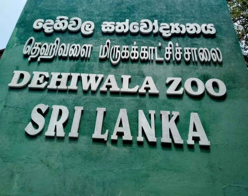 ஒக். 01 தெஹிவளை மிருகக்காட்சிச்சாலை செல்ல தயாராகுங்கள்!