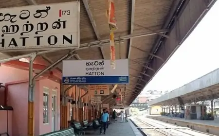 ஹட்டன் ரயில் நிலையத்தில் திடீரென உயிரிழந்த பயணி 