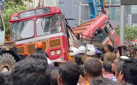 கொழும்பில்  சோகம்: பஸ் மீது மரம் விழந்து ஐவர் உயிரிழப்பு