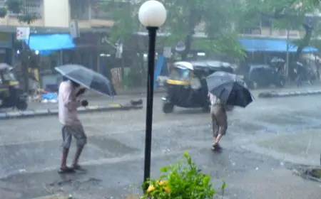 சீரற்ற காலநிலை காரணமாக 7 பேர் மரணம் – 54,000 பேர் பாதிப்பு