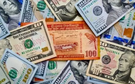 டொலரின் பெறுமதியில் ஏற்பட்ட மாற்றம்