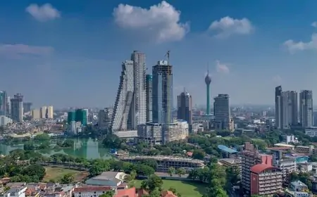 கொழும்பு மாவட்டத்தில் அதிக நகர்ப்புற சனத்தொகை சதவீதம் - ஆய்வில் வெளியான தகவல்