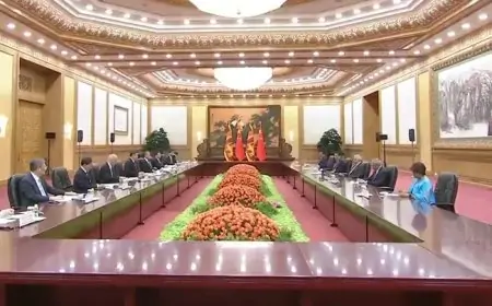 ஜனாதிபதிக்கும், சீன ஜனாதிபதிக்கும் இடையில் சந்திப்பு