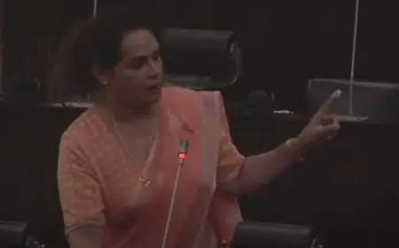 பாராளுமன்ற உறுப்பினர் டயனா கமகே மீது தாக்குதல்